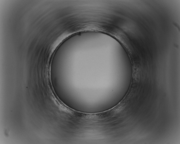 X0000102031094200807181344