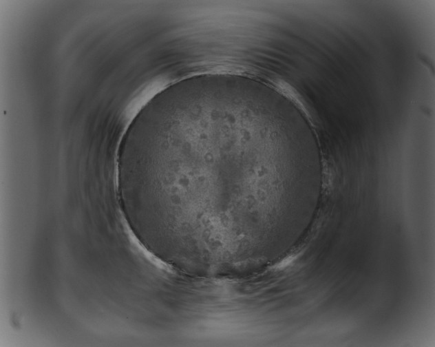 X0000102031095200807181344