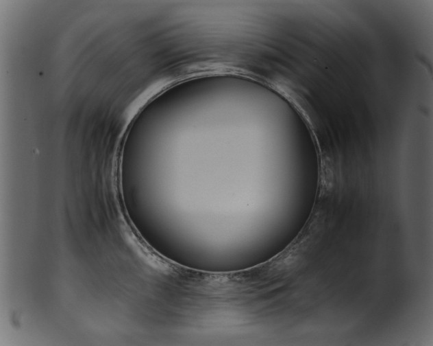 X0000102031098200807181344