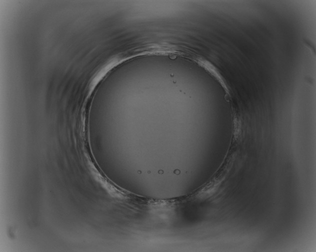 X0000102031099200807181344