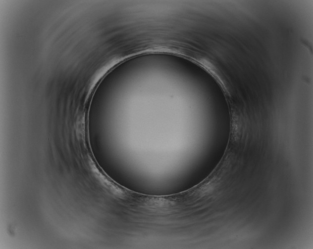 X0000102031100200807181344