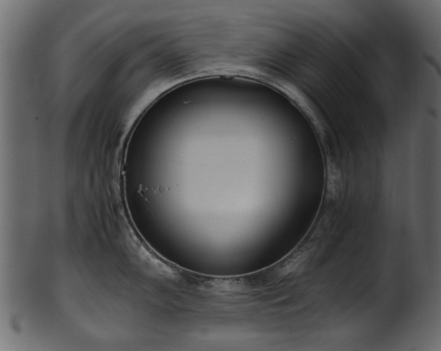 X0000102031102200807181344