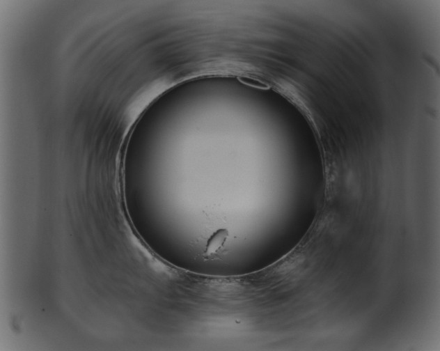 X0000102031103200807181344