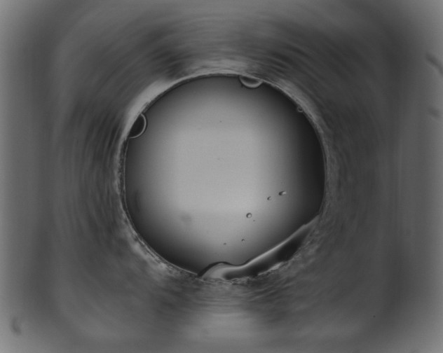 X0000102031104200807181344