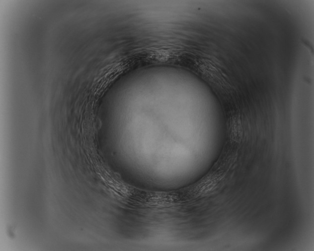 X0000102031105200807181343