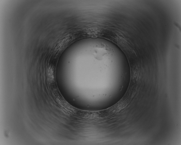 X0000102031106200807181343