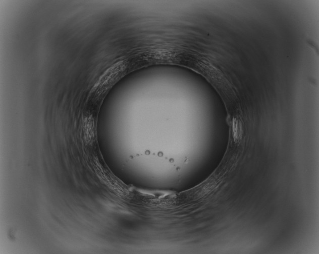 X0000102031107200807181343