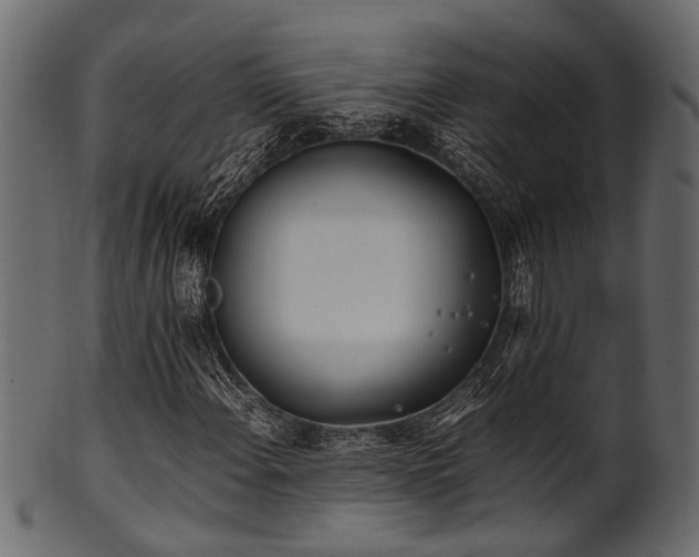 X0000102031108200807181343