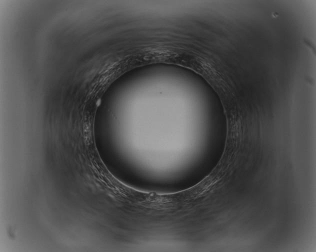 X0000102031109200807181343