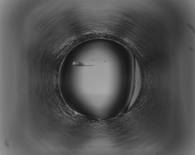 X0000102031110200807181343