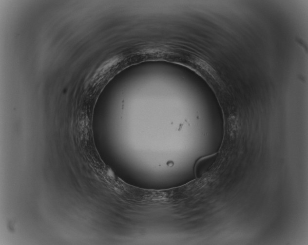 X0000102031111200807181343