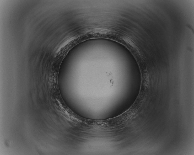 X0000102031112200807181343