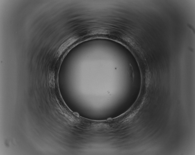 X0000102031113200807181343