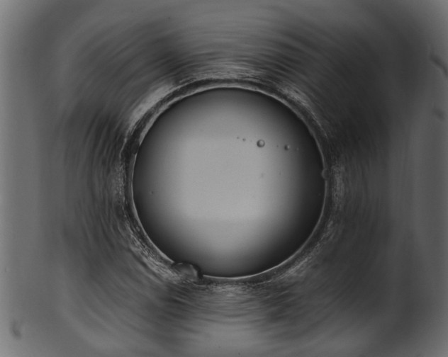 X0000102031114200807181343