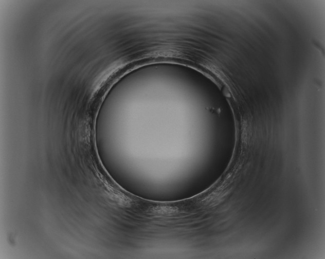 X0000102031115200807181343