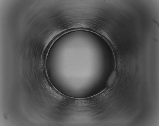 X0000102031116200807181343