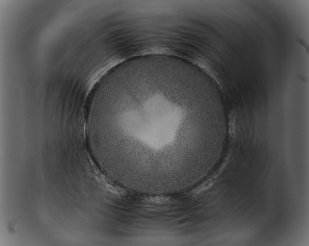 X0000102031117200807181343