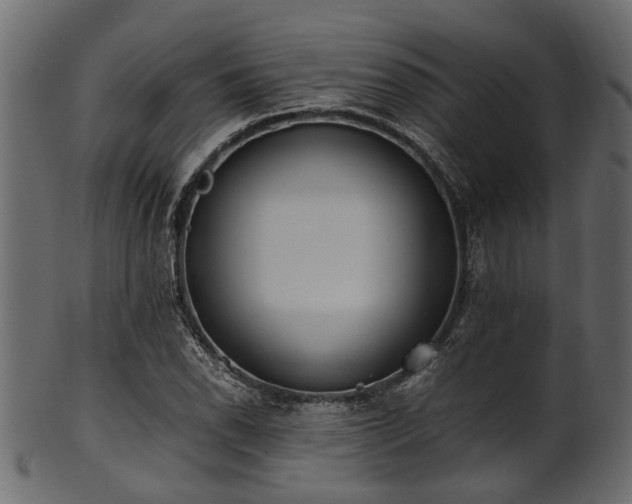 X0000102031118200807181343