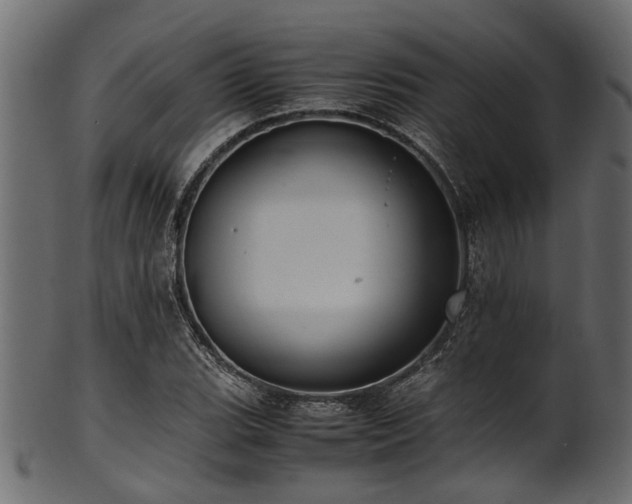 X0000102031119200807181343