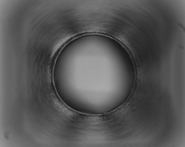 X0000102031120200807181343