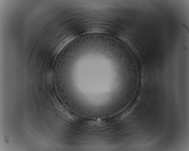 X0000102031121200807181343