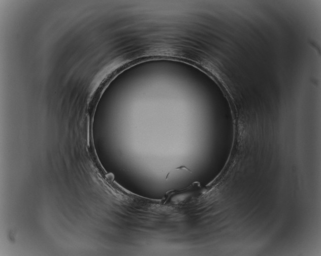 X0000102031123200807181344