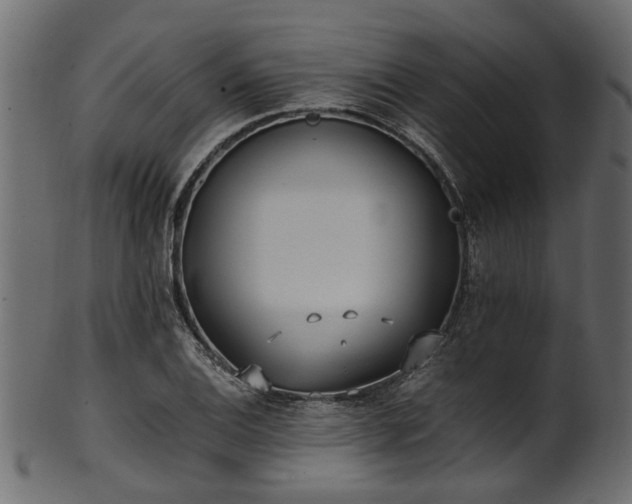 X0000102031124200807181344