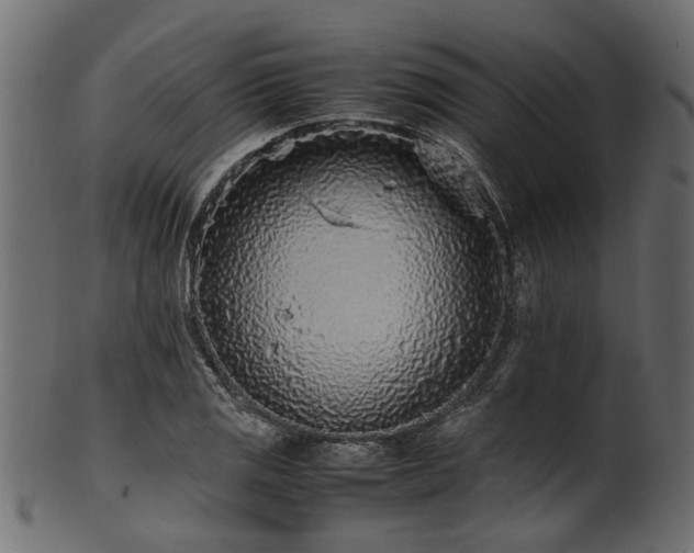 X0000102031125200807181344