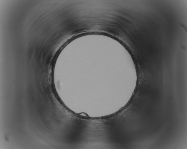 X0000102031126200807181344