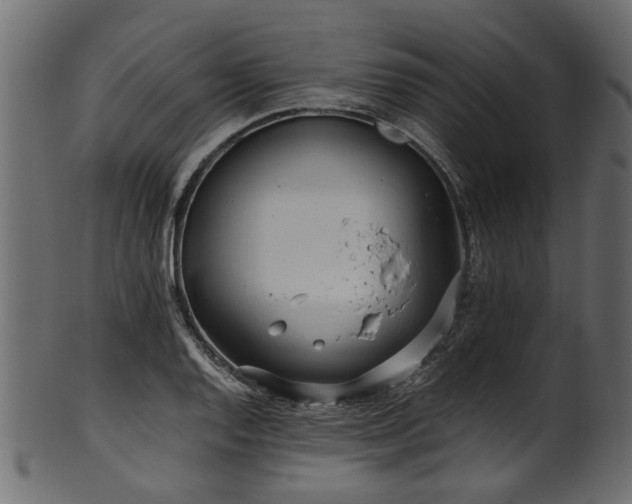 X0000102031128200807181344