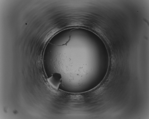 X0000102031129200807181344