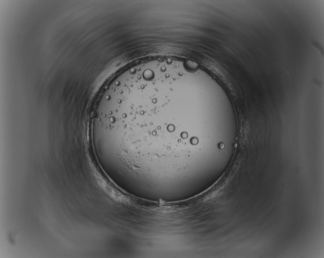 X0000102031130200807181344