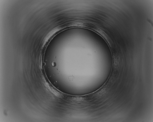 X0000102031131200807181344