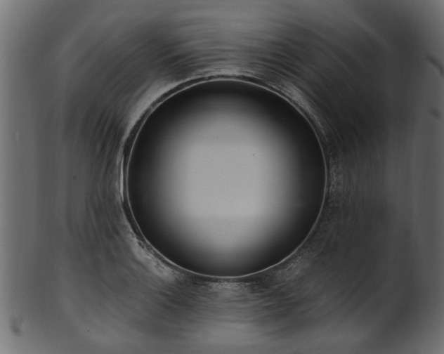 X0000102031132200807181344