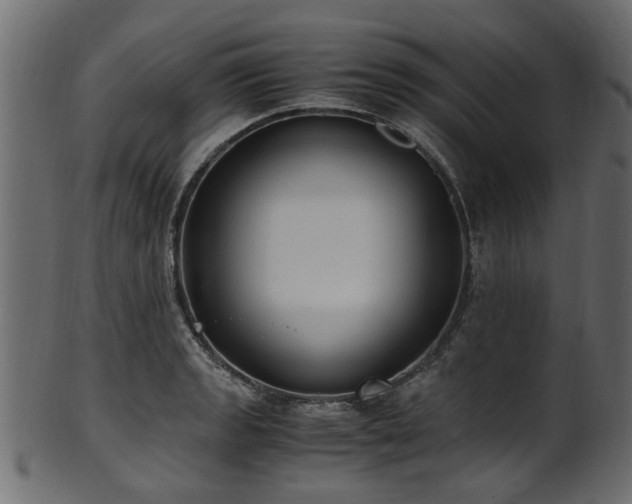 X0000102031133200807181344