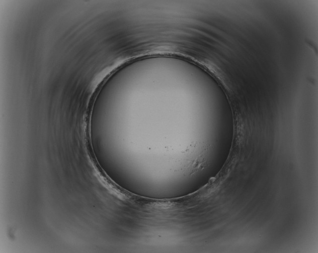 X0000102031134200807181344