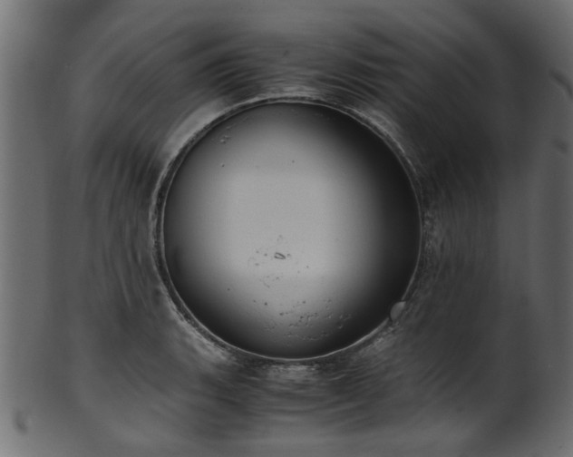 X0000102031135200807181344