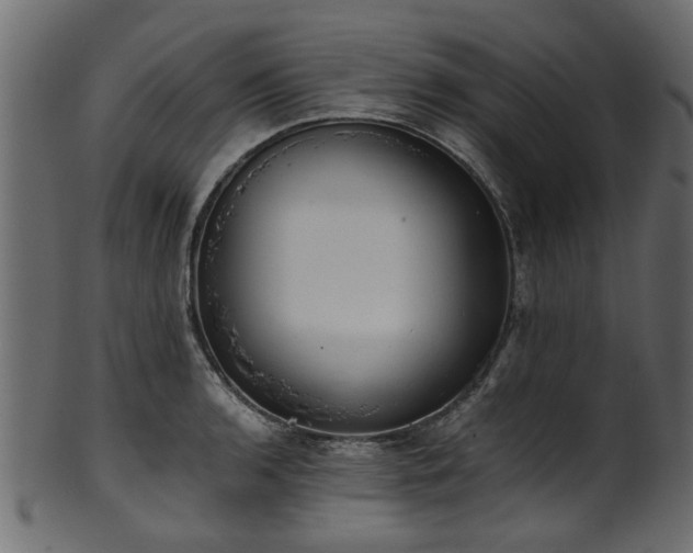 X0000102031136200807181344