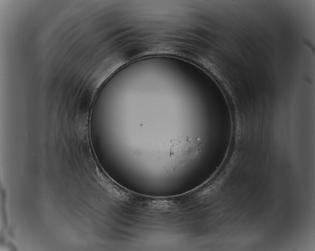 X0000102031137200807181344