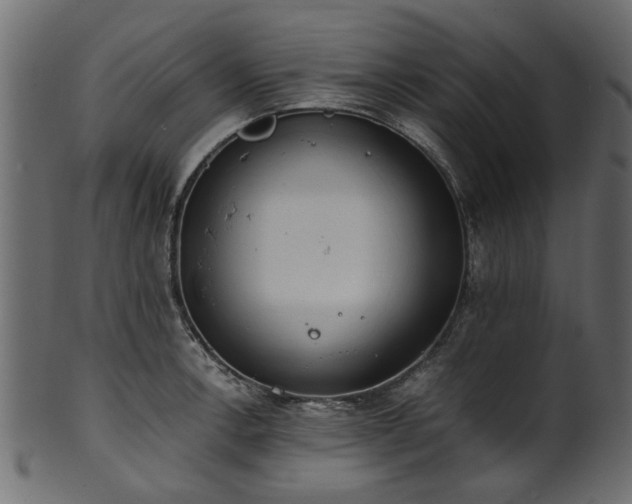 X0000102031138200807181344