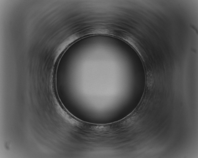 X0000102031139200807181344