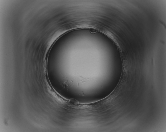 X0000102031140200807181344