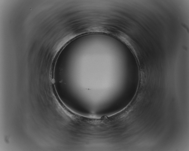 X0000102031141200807181344