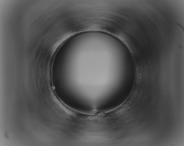 X0000102031142200807181344