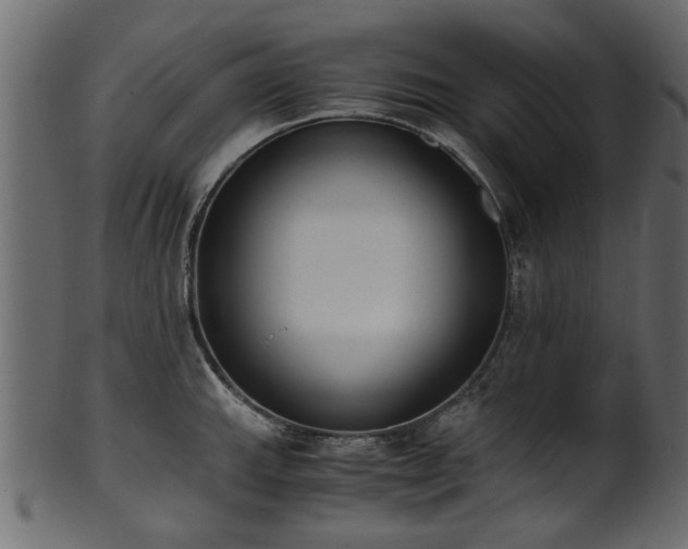 X0000102031143200807181344