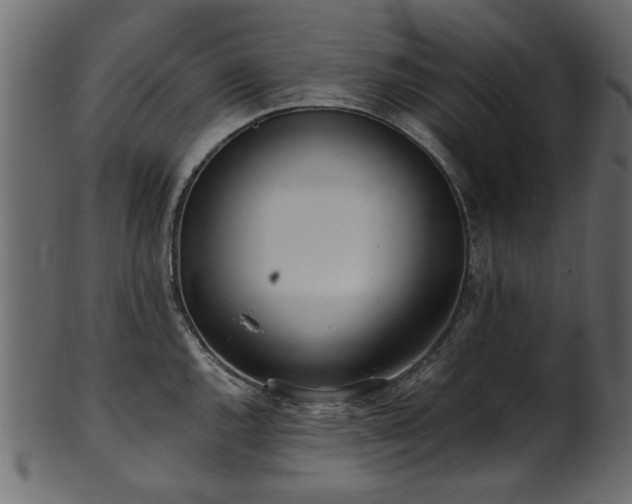 X0000102031144200807181344