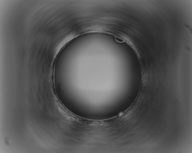 X0000102031146200807181344