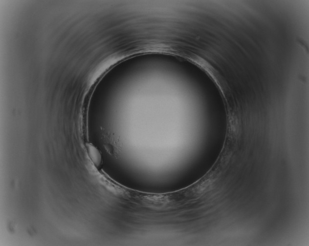 X0000102031147200807181344