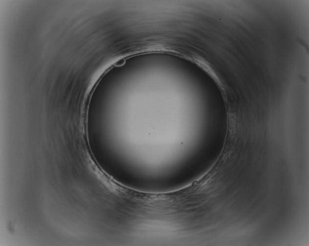 X0000102031148200807181344