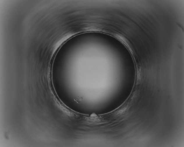 X0000102031149200807181344